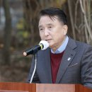 톰소여의모험 이미지