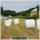 황준목장 네이버블로그