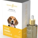 네모강아지 이미지