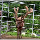 청솔2목장 이미지