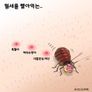 780052 이미지