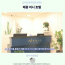 도솔카서비스 | 경주 메종 미니 호텔 후기 가성비 갑 숙소 추천