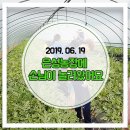 은성농산물