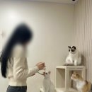 녹번역5번출구 앞 | 녹번역 놀면묘하냥 은평점, 은평구 카페, 은평구 놀거리, 은평구 데이트코스 추천!
