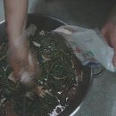 열무김치 담그기, 열무김치 비빕밥 이미지