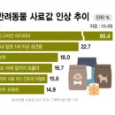 웰씨코리아 이미지