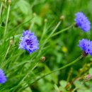 냉천어촌체험마을 이미지