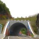 오마도터널 이미지