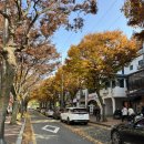 농업생명과학대학3관 | 서울대학교 농업생명과학대학 안양수목원 주차 입장 실제방문후기