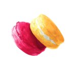 대상디앤에이 이미지