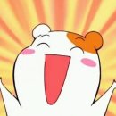 단양 별마루캠핑장 이미지