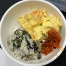 팔도강산노래방 | 일상로그? 그거 저도 한 번 시작해 볼게요