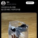 젤리댕댕이 이미지