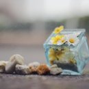 마음의 문 이미지