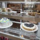 꼬소한지수네 이미지