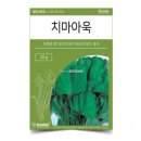 씨앗
