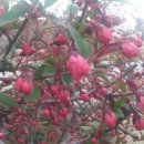 김영칠농장 이미지