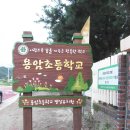 용암초교 이미지