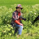 외포항2 이미지