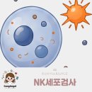 ㈜대동메디칼컨설팅 | NK세포검사 NK세포활성도검사와 면역력검사 알아봤어요