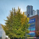 월드단지내공인중개사사무소 이미지