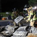 주정차044 이미지