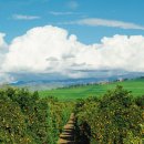 행복이가득한집 이미지