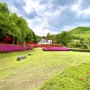 양평강하공인중개사사무소 | 회장님고급별장시즌10 시크릿한 비밀의가든