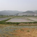 우직농장 이미지