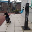 우이동 만남의광장 화장실 이미지