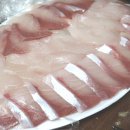 당진 대방어 맛집 동해수산참치 내돈내산 방어 리뷰