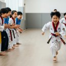 용인대 금메달 태권도 이미지