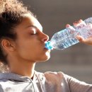 보스턴짐 이미지