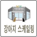 지오동물병원 이미지