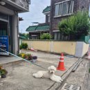 파란 카페 앤 호스텔 | [제천 여행] 월악산 유스호스텔 302호 숙박 후기