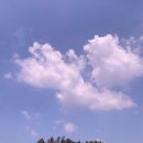 장항청년아이스브레이크협동조합