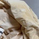 짱세탁 | 이엔키이엔키(IENKI IENKI) 패딩 세탁 방법