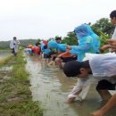 비오는날의추억 이미지