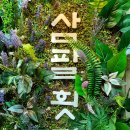 해변횟집 | 양양회센터 삼팔횟집 인구해수욕장횟집 양양횟집맛집리뷰 양양내돈내산횟집후기 인구해변횟집