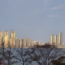 부산아트치과기공소 | 대한소아치과학회 부산·울산·경남지부학회 개최 후기｜해성아트베이에서 마무리된 의미 있는 학술의 시간