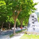 대덕승마장 이미지