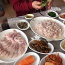 돌산아나고 이미지