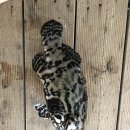 스타바다좌대낚시터 | [제부도 낚시터] 스타바다좌대낚시터 후기