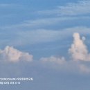 오늘의 명언 8월 3일 : 아름다워 - 존 웨인 이미지