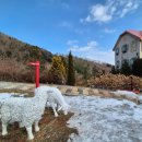 알프스파크 이미지