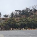 제천 가스 충전소 이미지