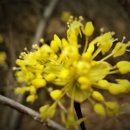 치유행정사사무소 이미지