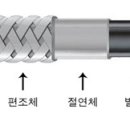 정온 이미지