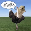 양자커피