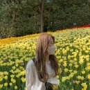 떼르헤어 | 탈색모 3년차 디자이너의 컬러 염색 후기 ! 떼르헤어 채아